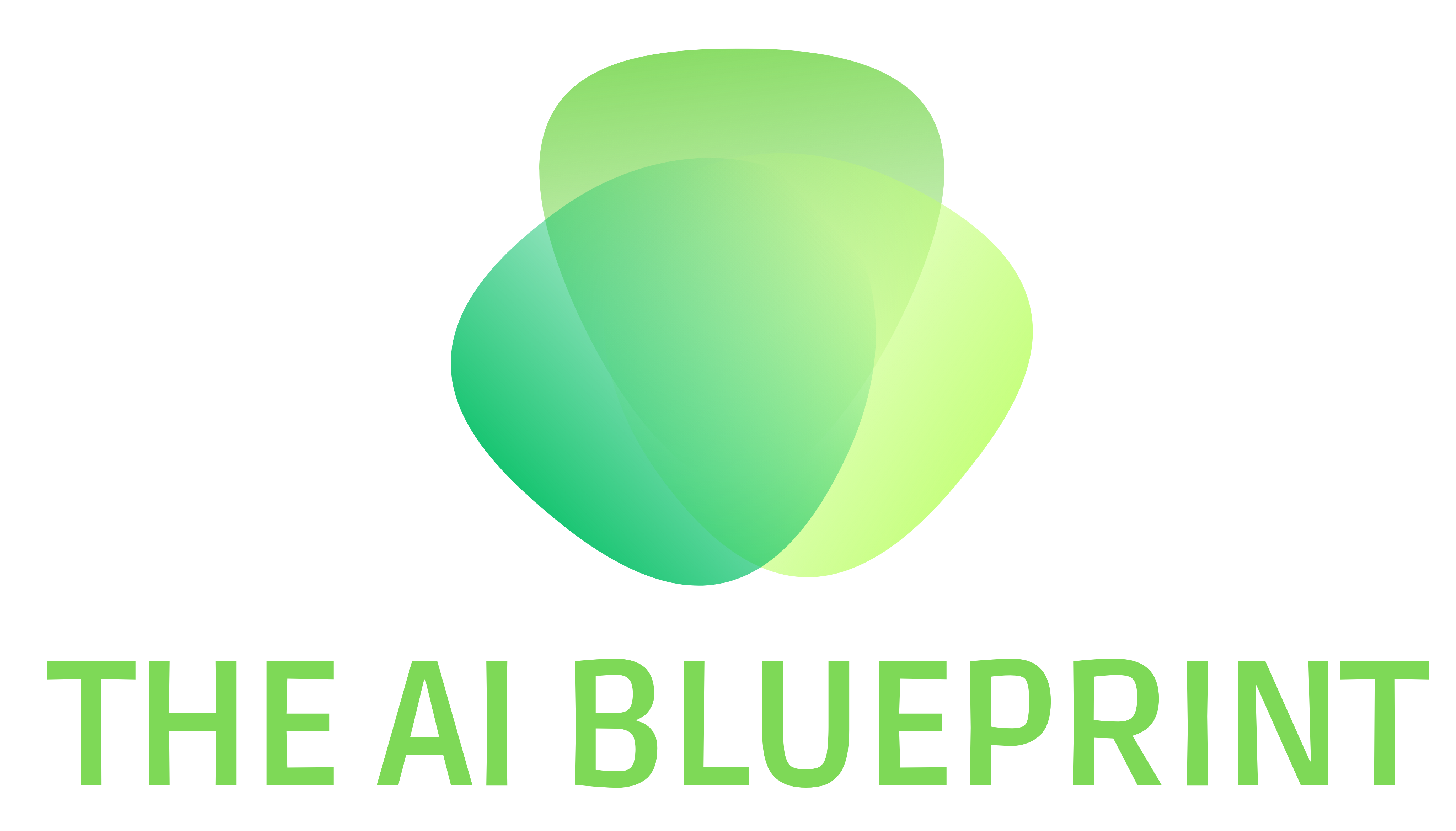 The AI Blueprint